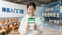 区块链养鸡：数字资产如何改变传统养殖