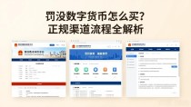 罚没数字货币怎么买?正规渠道流程全解析